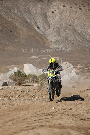 IMG_7290-818j