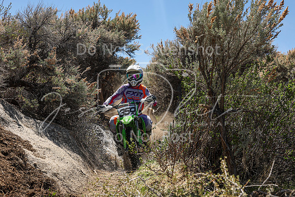 IMG_0179-359j