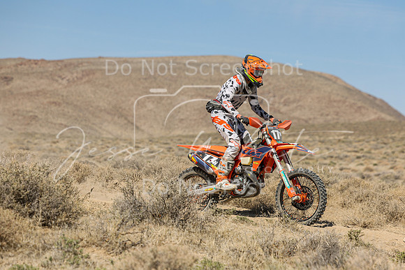 IMG_8102-17n