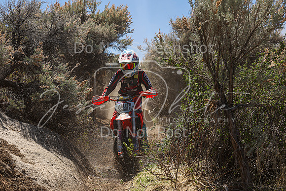 IMG_0202-226j