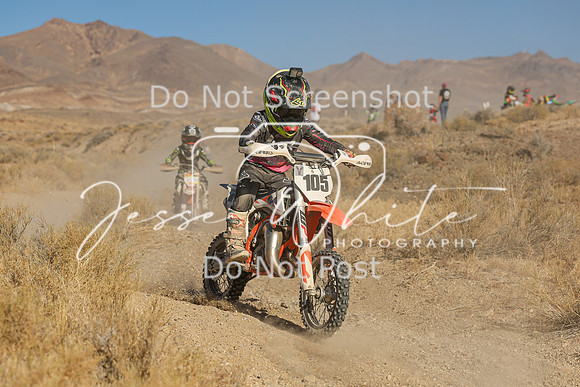 IMG_0291-105y