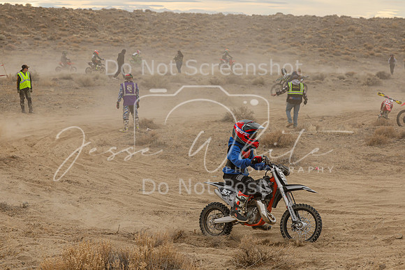 IMG_0470-517y