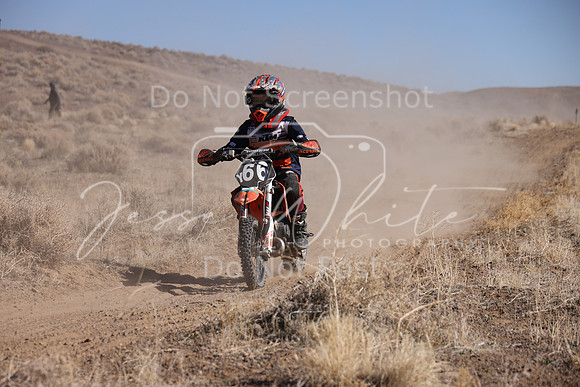 IMG_7868-66y