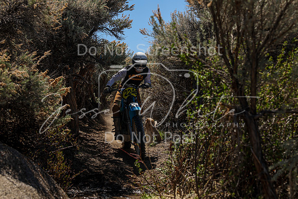 IMG_0279-224b