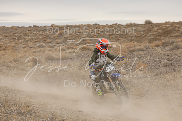 IMG_0273-528y