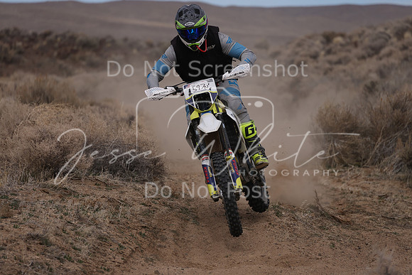 IMG_2259-597n