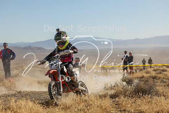 IMG_0060-105y