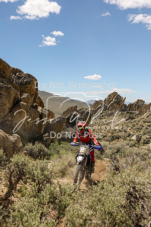 IMG_9127-85t