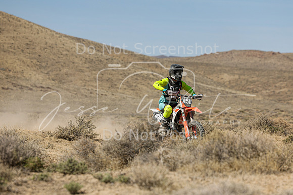 IMG_8294-45p