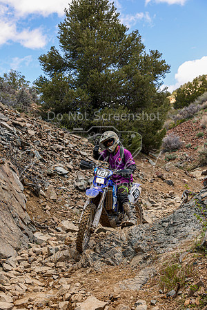 IMG_3645-431