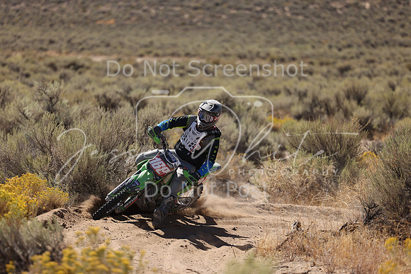 IMG_1378-168n
