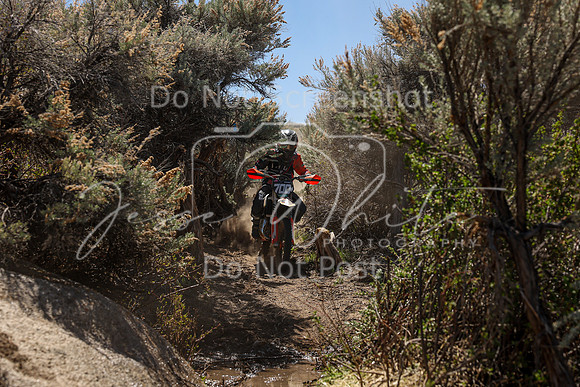 IMG_0316-700j