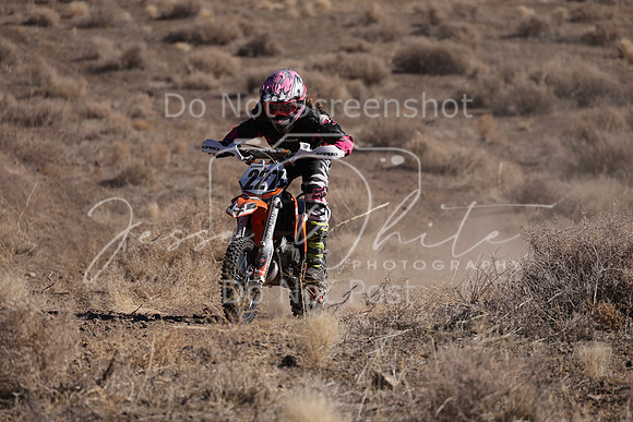 IMG_7948-227y