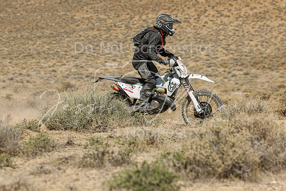 IMG_8240-274p