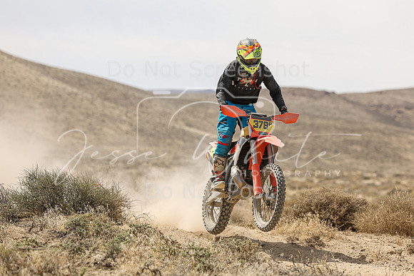 IMG_9268-378p