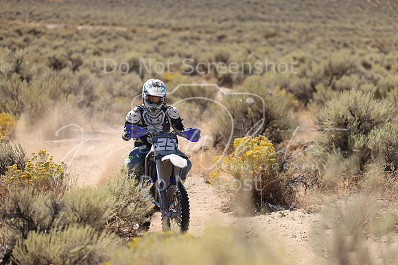 IMG_1647-n29r