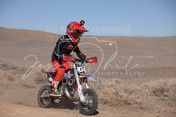 IMG_7379-104z