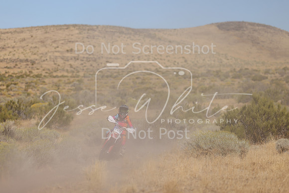 IMG_0617-nt378
