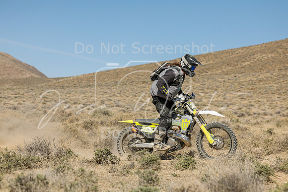 IMG_7966-395p