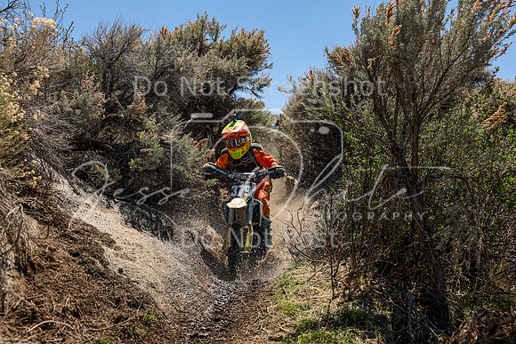 IMG_0627-379j