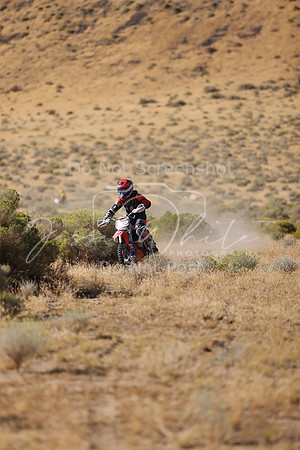 IMG_3288-812j