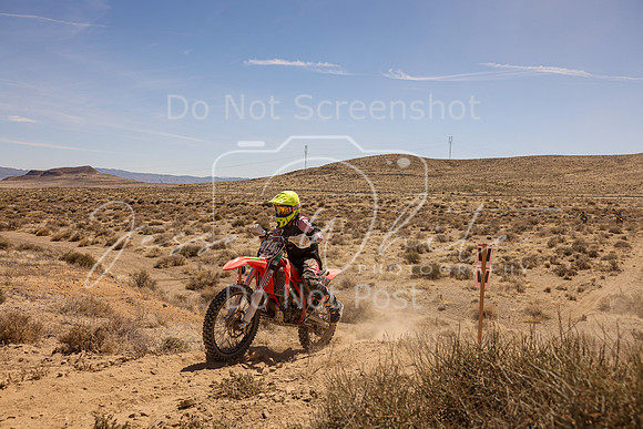 IMG_1149-474v