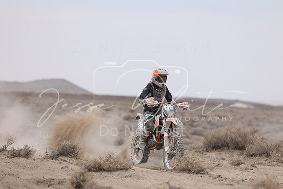 IMG_9787-111v