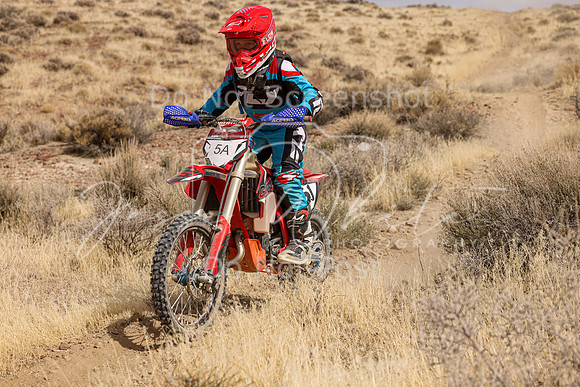 IMG_0637-5a