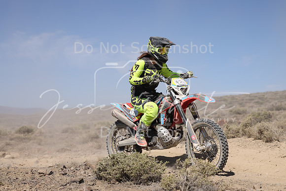 IMG_4274-97n