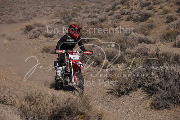 IMG_9510-775v