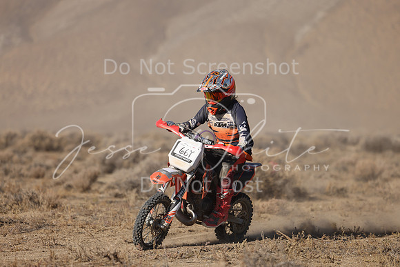 IMG_6398-66y