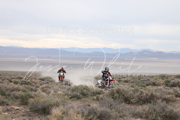 IMG_7483-59a-50a