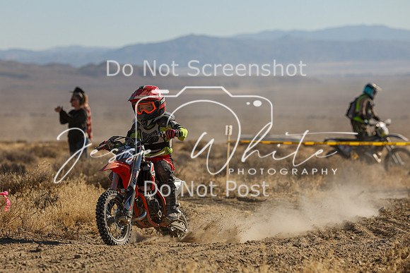 IMG_0104-717z