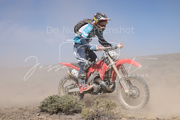 IMG_4001-950n