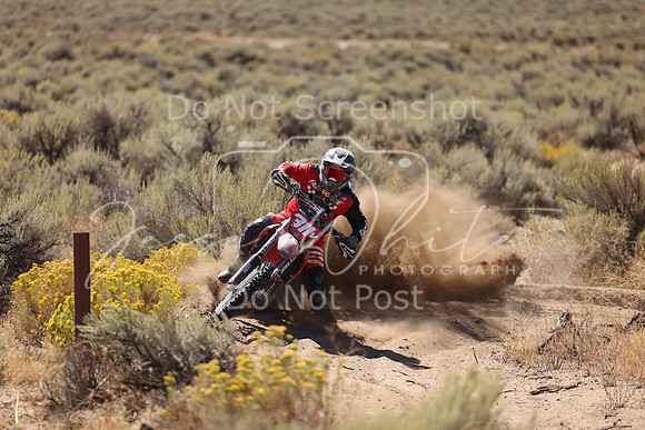 IMG_1399-311v