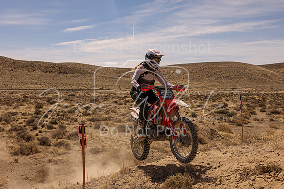 IMG_1542-333v