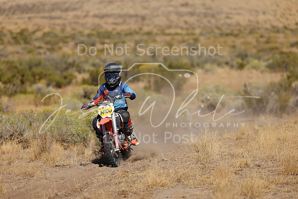 IMG_0641-n10u