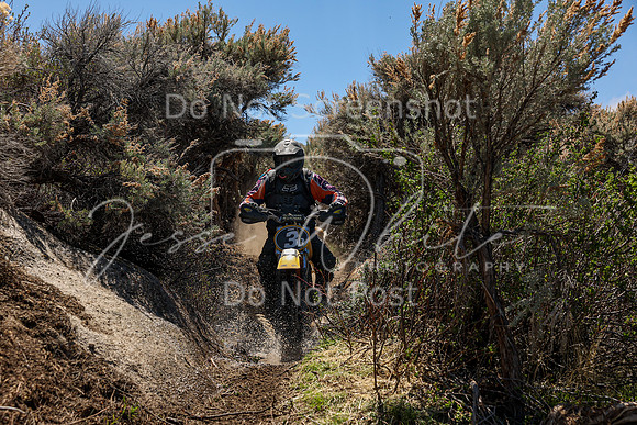IMG_0337-3b