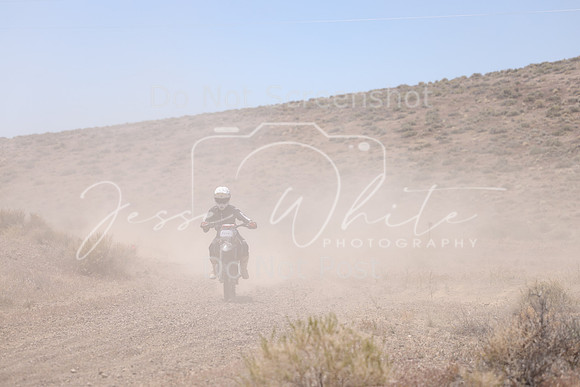 IMG_2883-240v