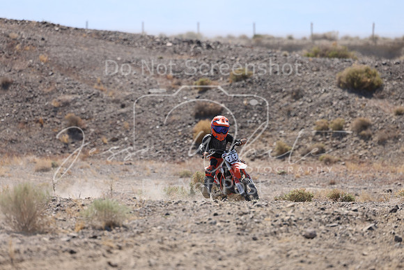 IMG_2095-88z