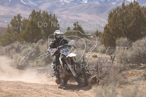IMG_1206-nt449