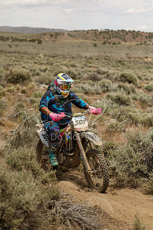 IMG_5077-301t