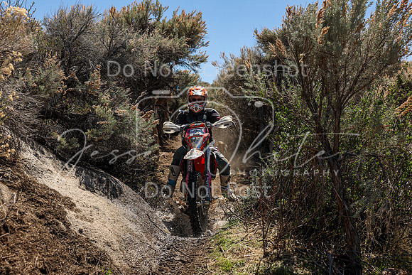 IMG_0636-175v