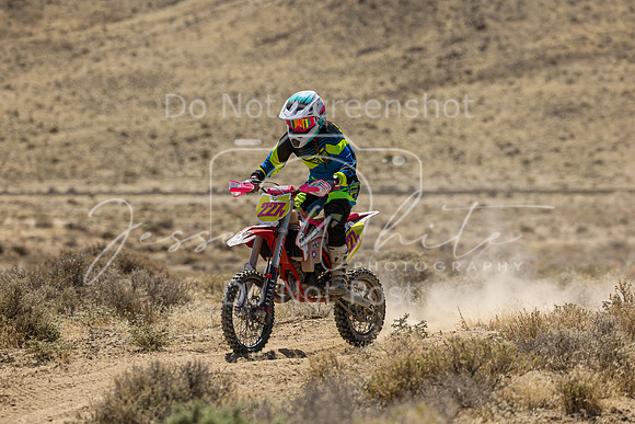 IMG_6604-227v