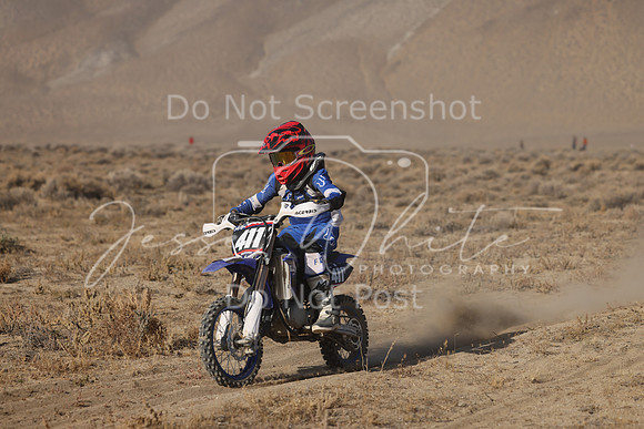 IMG_6425-411y
