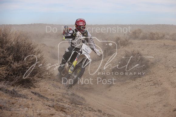 IMG_1291-33p