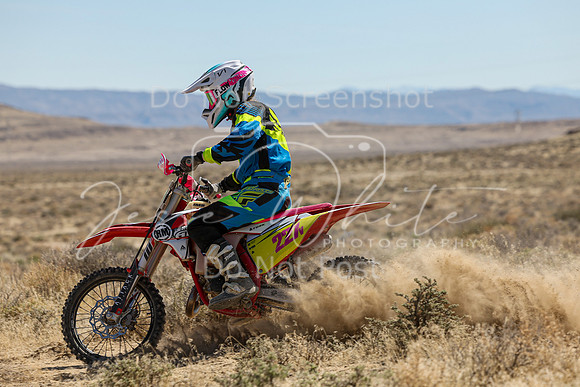 IMG_6606-227v