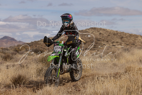 IMG_0239-41a