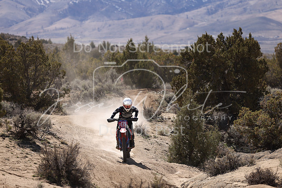 IMG_0954-x179
