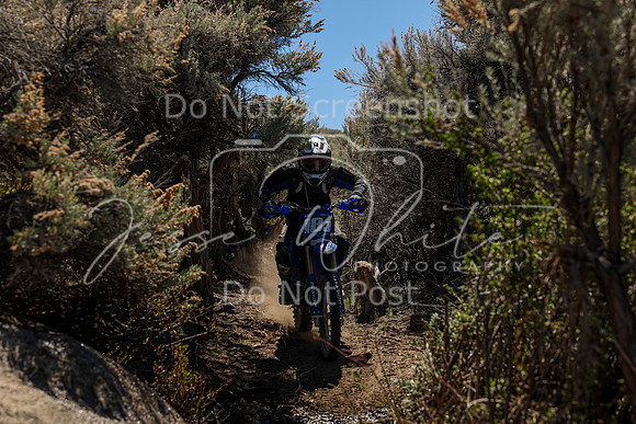 IMG_0514-18j